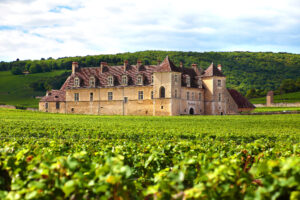 Wine and Dine: Exploring the Vineyards of France